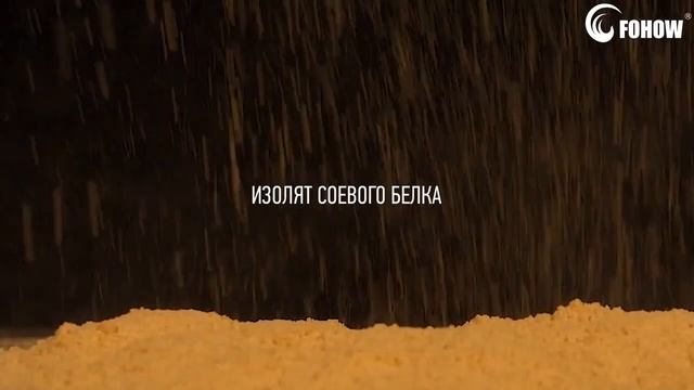 Печенье BIO&P Fohow (Фохоу). Новинка 2020!