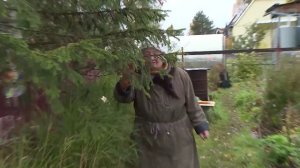 простые ответы(воры на даче)