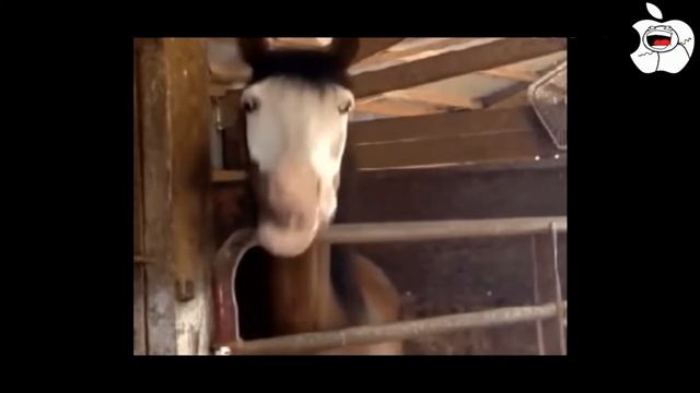 бит-бокс смотреть онлайн