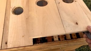 Зимовка в лежаке