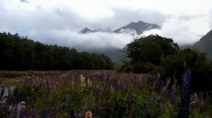 New Zealand - Drive to Anau - South Island