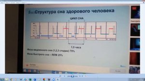 Л  Блехман 19 10 20  Для чего человеку нужен сон  Как преодолеть бессонницу