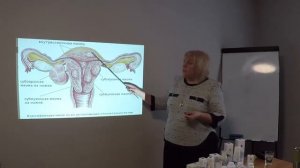 Эндокринная Система. Лекция Елены Рутковской.