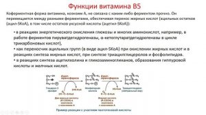 Биохимия. Лекция 16. Водорастворимые витамины. Витамин B5.