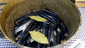 Шпроты из салаки в духовке в домашних условиях