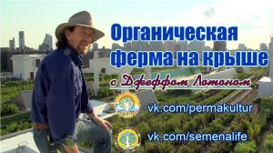 Органическая ферма на крыше с Джеффом Лотоном