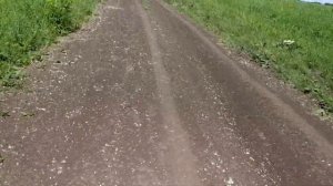 Покатушки на мопеде Альфа