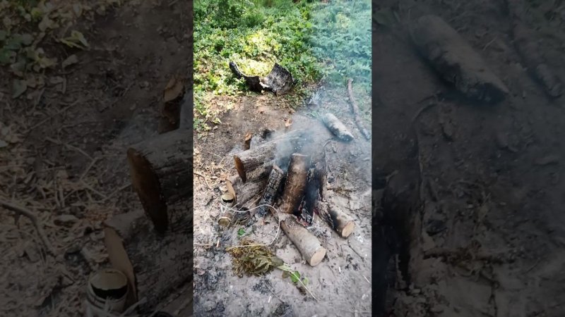 Таежный чай ТАЙГА #чай #дмитрийяков #тайга #поход #survival #bushcraft #camping #outdoors #fishing