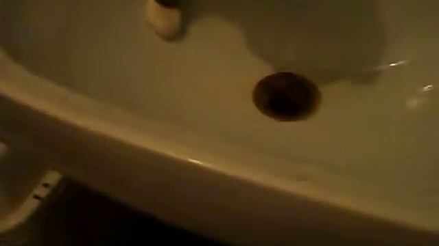 Мой кот Кенси любит мыться в раковине)))) смотреть онлайн