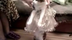 Котэ в юбке (новый год).flv