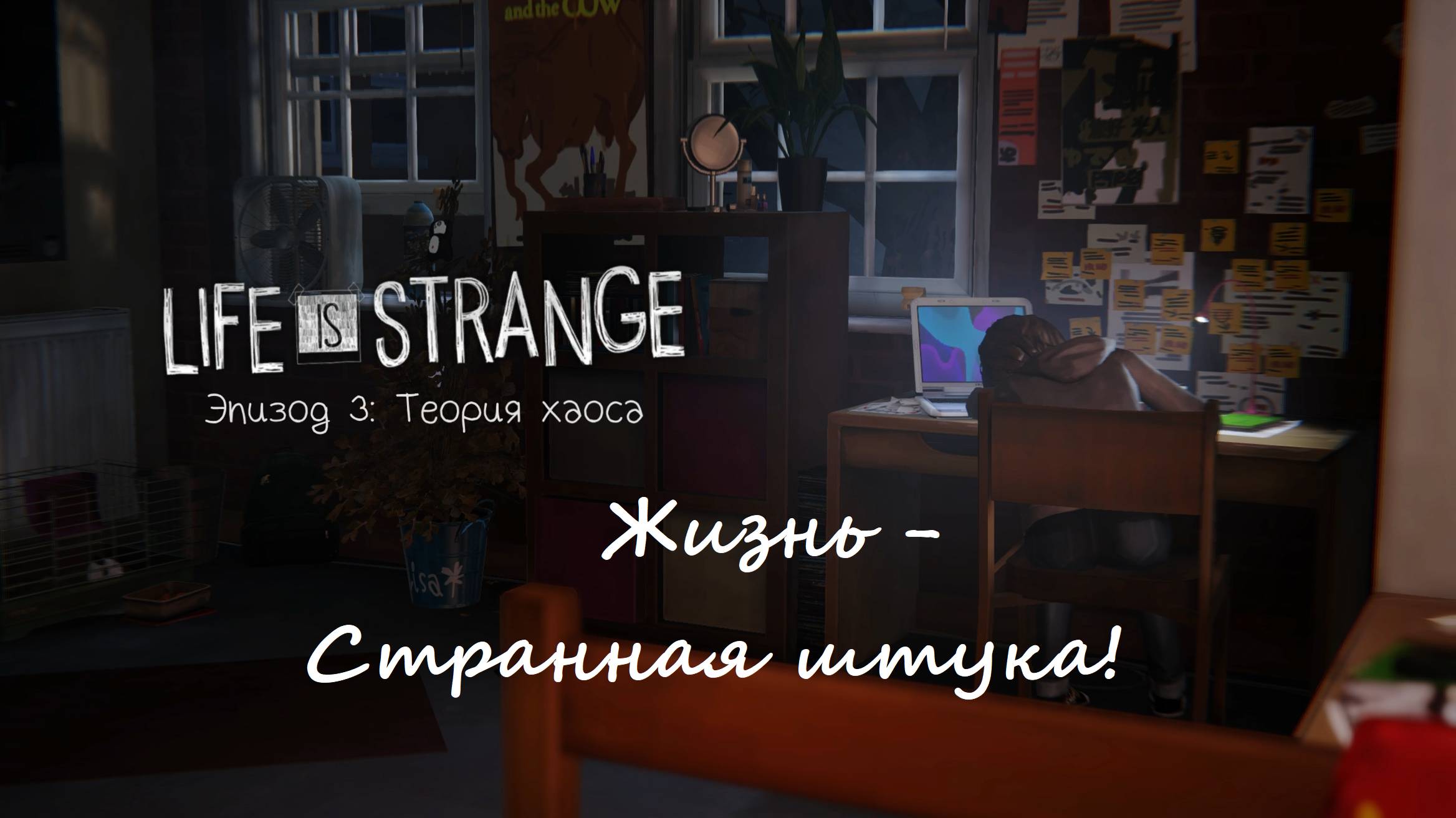 Life is Strange/Жизнь - странная штука. Эпизод 3: Теория хаоса