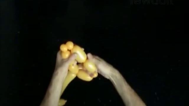 Как сделать забавного жирафа из шарика за 4 минуты (фигурки из шаров своими руками) смотреть онлайн