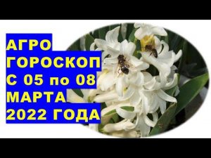 Агрогороскоп с 05 по 08 марта 2022 года