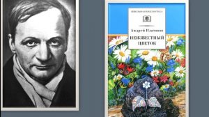?НЕИЗВЕСТНЫЙ ЦВЕТОК || Андрей Платонов || 6 класс || АудиоКнига