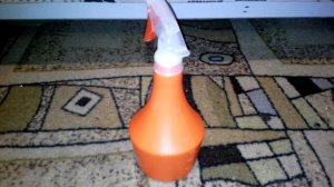 Как избавиться от блох