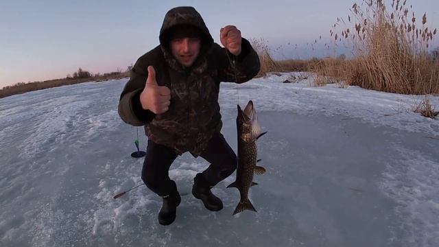 Рыбалка на жерлицы.Щука на живца.Отдых с ночевкой в палатке на реке Волга.
