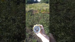 Как сделать самому, отпугиватель от кротов и слепышей.