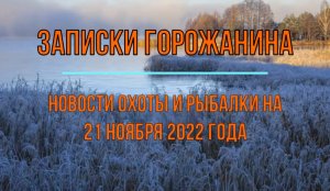 Охота. Рыбалка. Новости на 21 ноября 2022 года