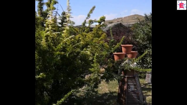 Путешествие в АТАМАНЬ г Тамань Черное море Женя и Есения гуляют по городку смотреть онлайн