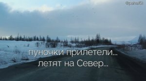 КУРОПАТОЧКА_ПУНОЧКИ_ЛИСИЧКА