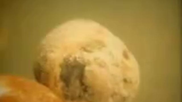 Грибы смотреть онлайн