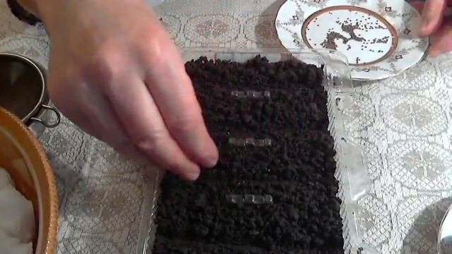 Земляника ремонтантная мелкоплодная.Секреты посева для хорошего урожая.