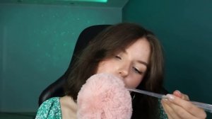 ?ASMR BUGS?АСМР ПАВУЧКИ?