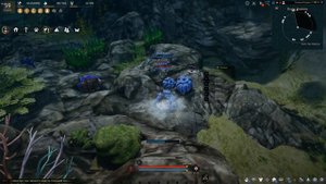 Око Окиллу, новый спот с вьющимся кораллом, большой жемчужиной Black Desert