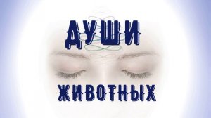 НАСТОЯЩИЕ БОГИ. КТО ОНИ И ОТКУДА. ДУШИ ЖИВОТНЫХ.