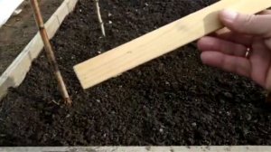 Универсальный способ полива подкормки томатов и др.