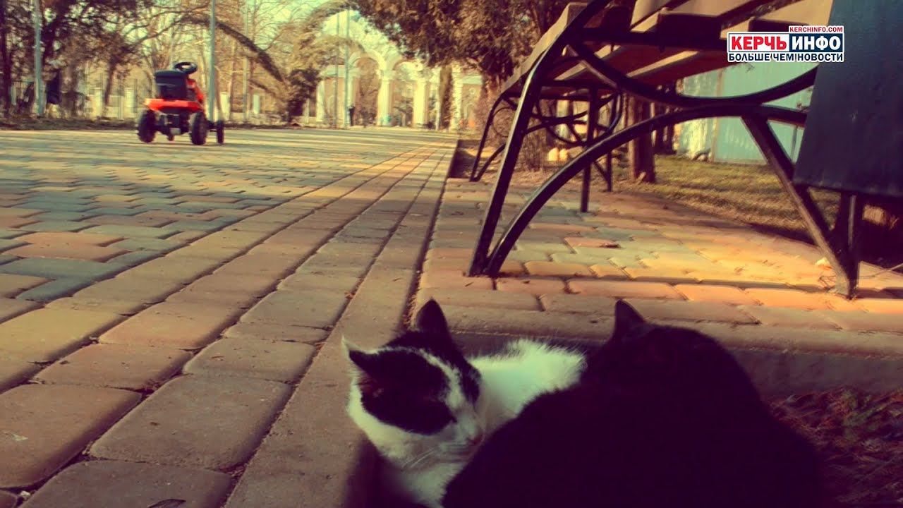 Солнечное настроение в Молодежном парке смотреть онлайн