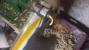 ДАВИМ СОЮ СОЕВОЕ МАСЛО ХОЛОДНОГО ОДЖИМА ШНЕКОВЫЙ МАСЛОПРЕСС!