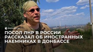 Посол ЛНР в России рассказал об иностранных наемниках в Донбассе