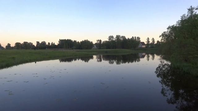 Витебск деревня Копти смотреть онлайн