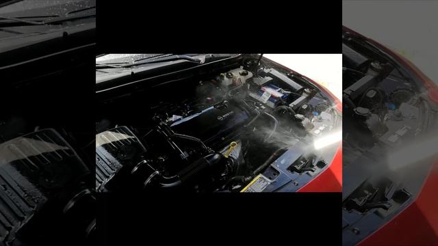 Cleaning engin bay with Carpro смотреть онлайн