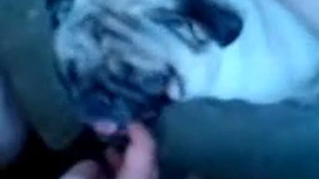 Почему ремень не пристёгнут смотреть онлайн