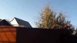 навес профилированный поликарбонат