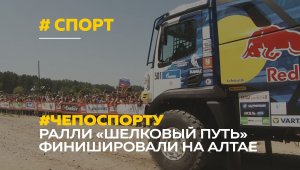Ралли «Шелковый путь-2021» финишировали в Алтайском крае | Спортивный обзор