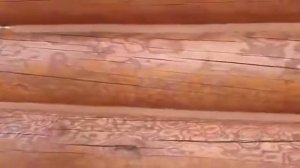 Теплый шов в деревянной бане
