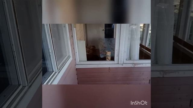 InShot_20230521_092553008.mp4