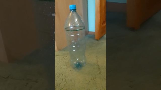 КАК СДЕЛАТЬ  ГОЛОГРАММУ ДОМА!!! САМЫЙ ЛЁГКИЙ СПОСОБ 🤩