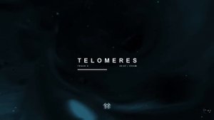 Sleep Token - Telomeres (Visualiser)