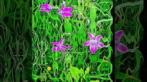 Очаровательная природа , прекрасные цветы и музыка.mp4