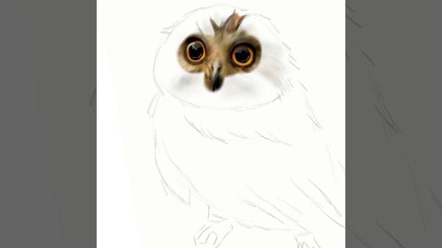 Процесс создания иллюстрации СОВА смотреть онлайн