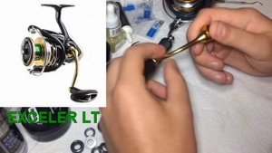 Daiwa LT- ЧТО ВЫБРАТЬ?