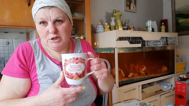 Будни доярки, мой день по расписанию.  В теплице навожу порядок