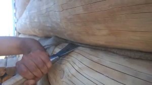 Конопатка сруба льноватином