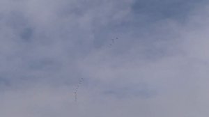 Охота на гуся в казахстане. Маленькое озеро и 80 тыс. гуся