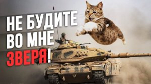 Бойцовые КОТЫ на войне