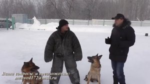 Кинологи МВД Не легкая работа!